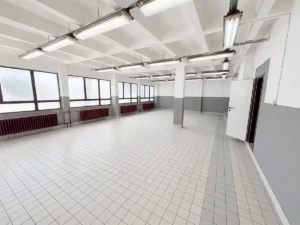 Polygon - Kiadó Ipari egységek Budapest Mátyásföld - 22. épület